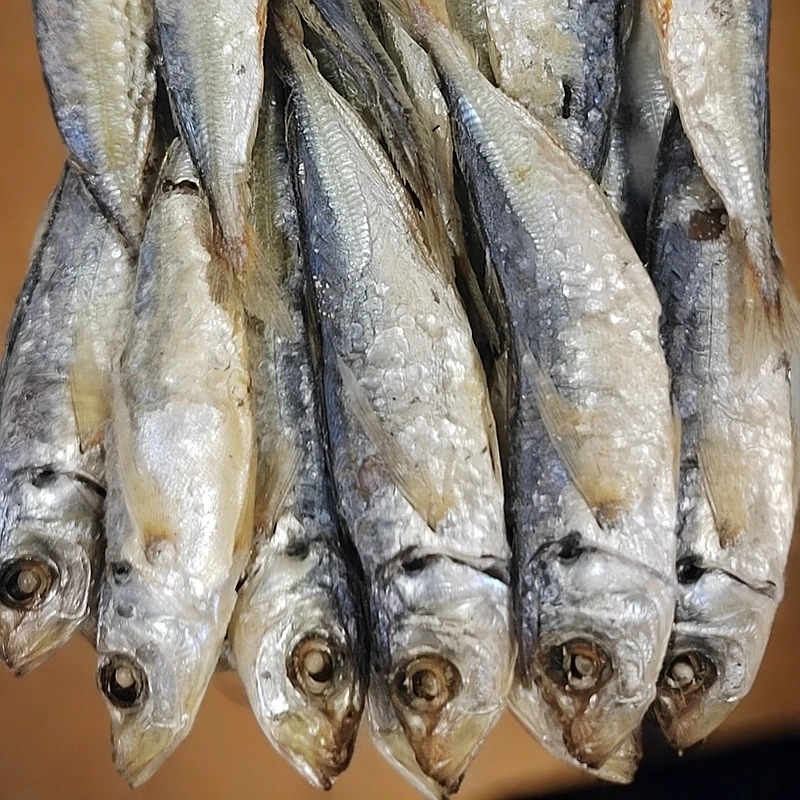 博贺深海巴浪鱼干熟晒有味巴浪鱼干