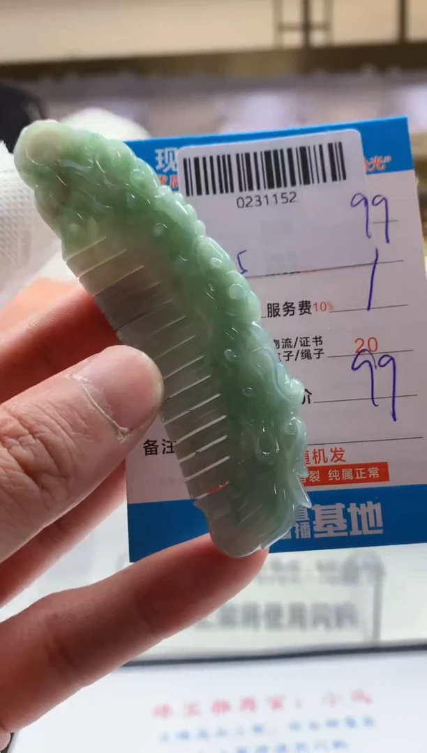 颈饰未镶嵌翡翠天然翡翠A货拍一发一