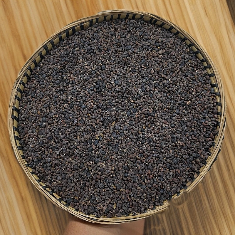 女贞子精选无硫当季新货泡水煮熟冬青实墨旱莲另有甘草