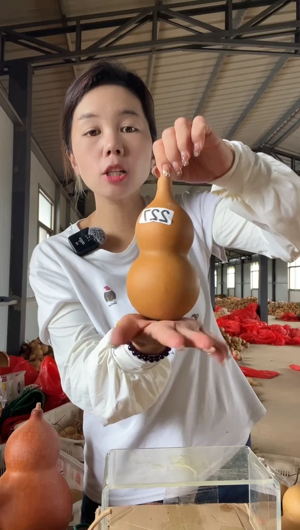 无花朵227天然葫芦摆件 一物一拍龙头不保售后