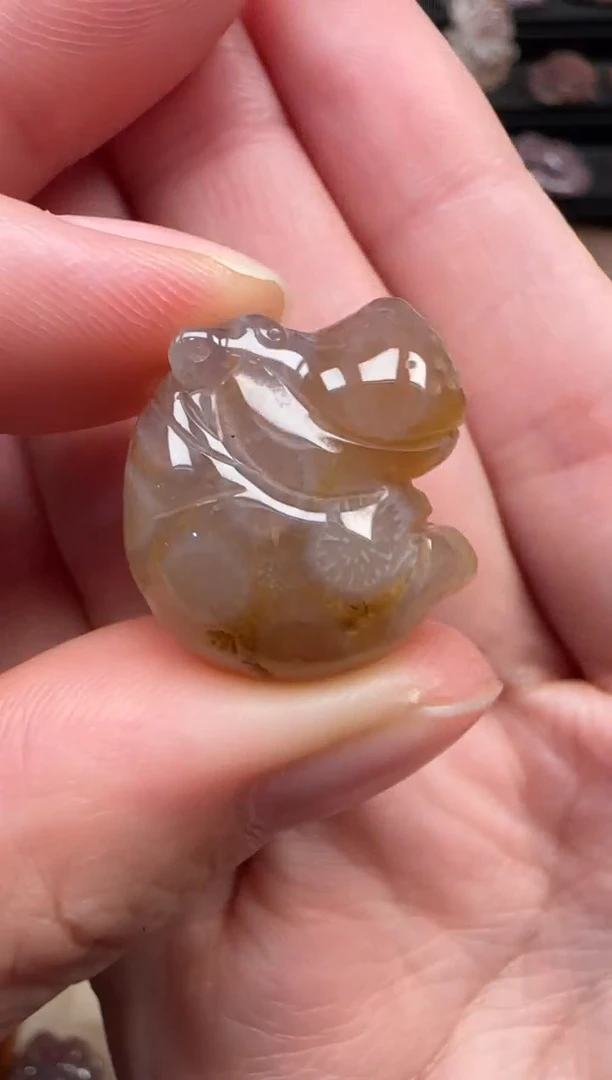 颈饰未镶嵌硅化珊瑚（珊瑚玉）835