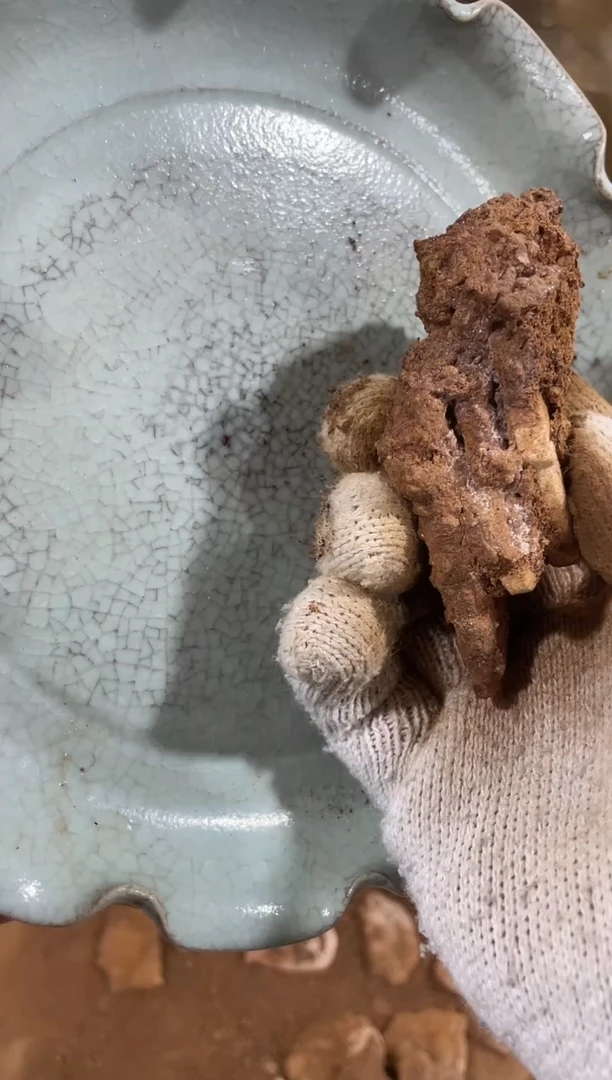 【闪购商品】瓷片瓷瓷瓷瓷瓷瓷瓷瓷瓷瓷瓷瓷瓷瓷