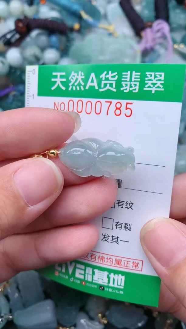 翡翠未镶嵌颈饰.0000785