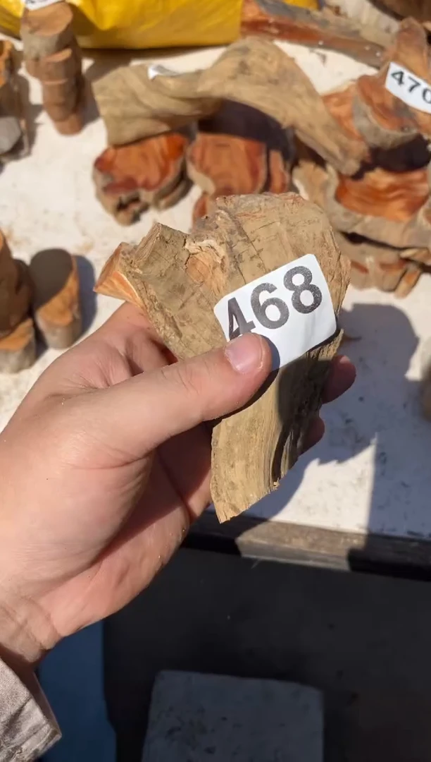 柏木（崖柏）太行陈化崖柏切片一块（津诚林）468