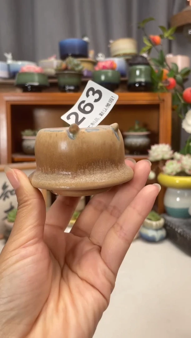瓷片263知木小芳花盆