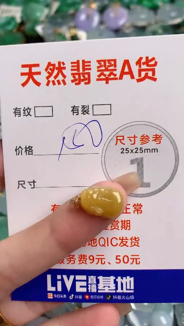 翡翠18K金镶嵌颈饰0649938102