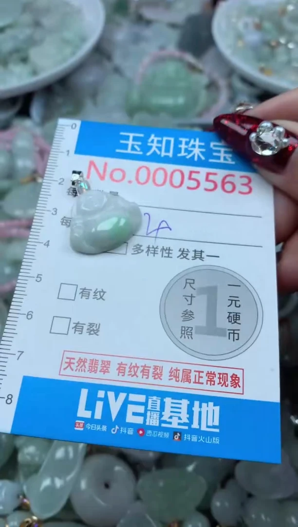 吊坠(不含链)未镶嵌翡翠5563