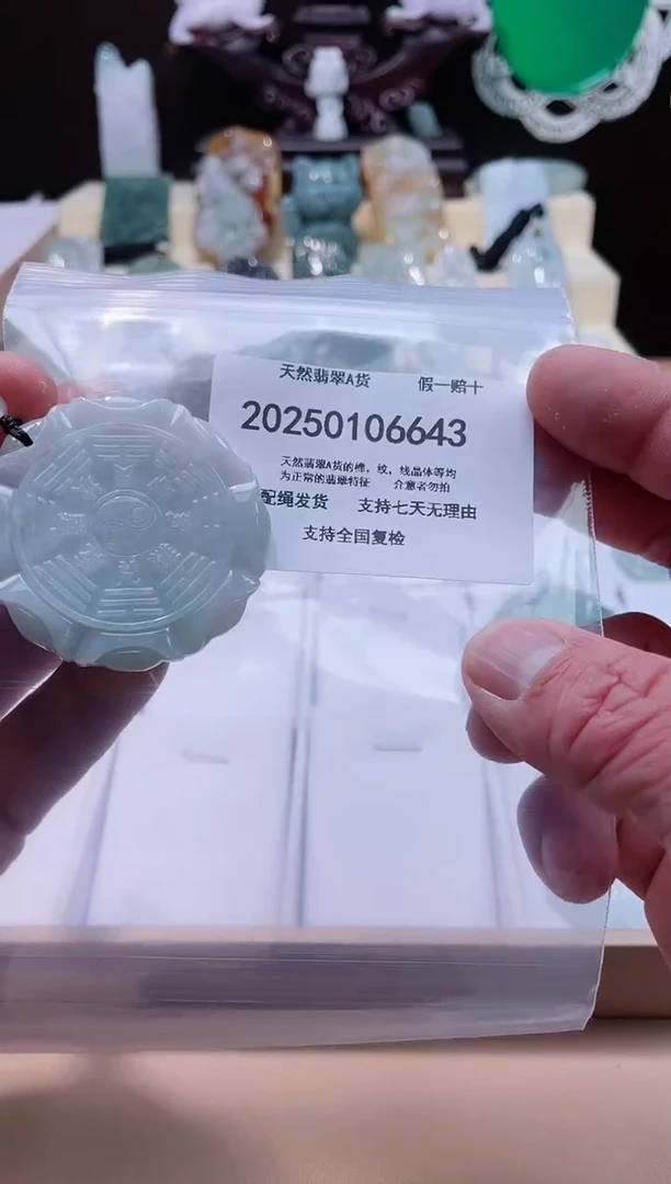 【闪购商品】翡翠颈饰未镶嵌闪购商品8号店200250010021