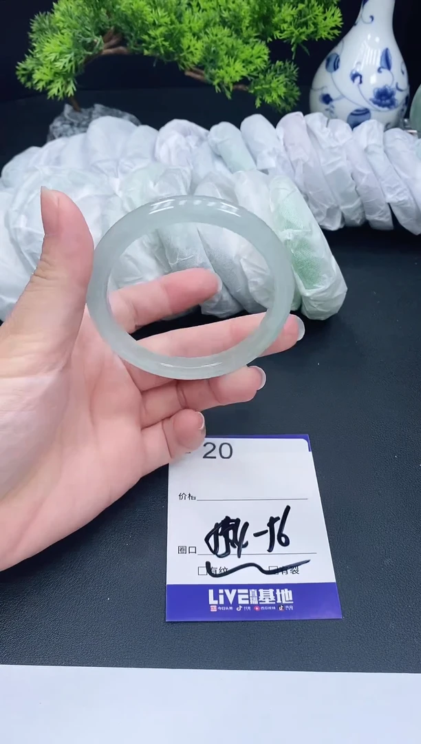 未镶嵌手镯翡翠20