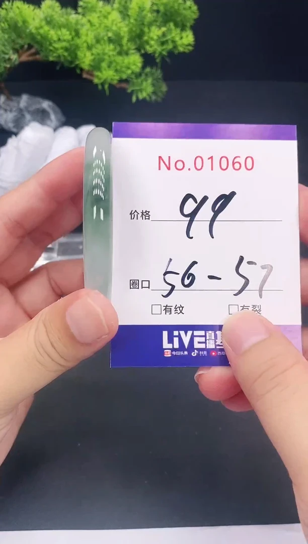 未镶嵌手镯翡翠1060