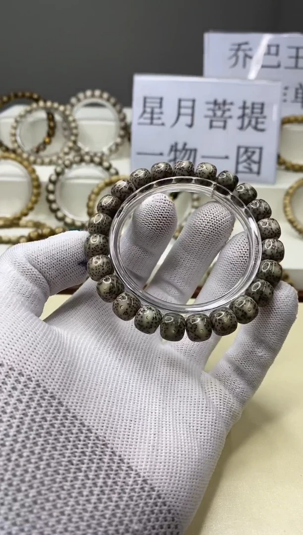 手串星月菩提一物一图-W7-105