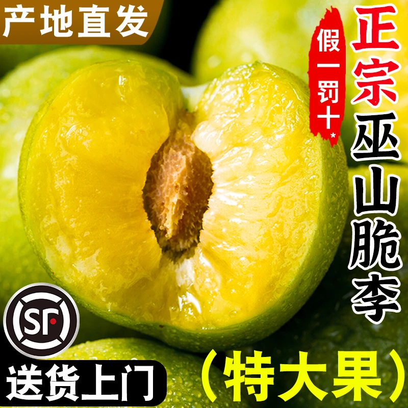 顺丰重庆巫山脆李脱骨李子四川5斤新鲜水果当季整箱孕妇核小青脆3