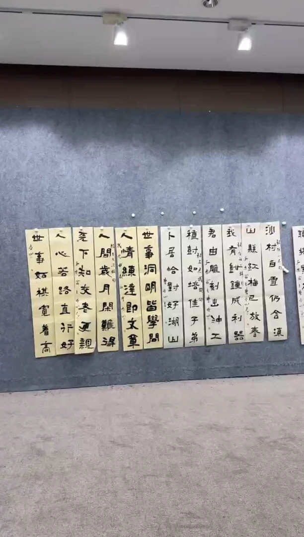 【闪购商品】书法pmw不二轩旗舰店书法CLS2