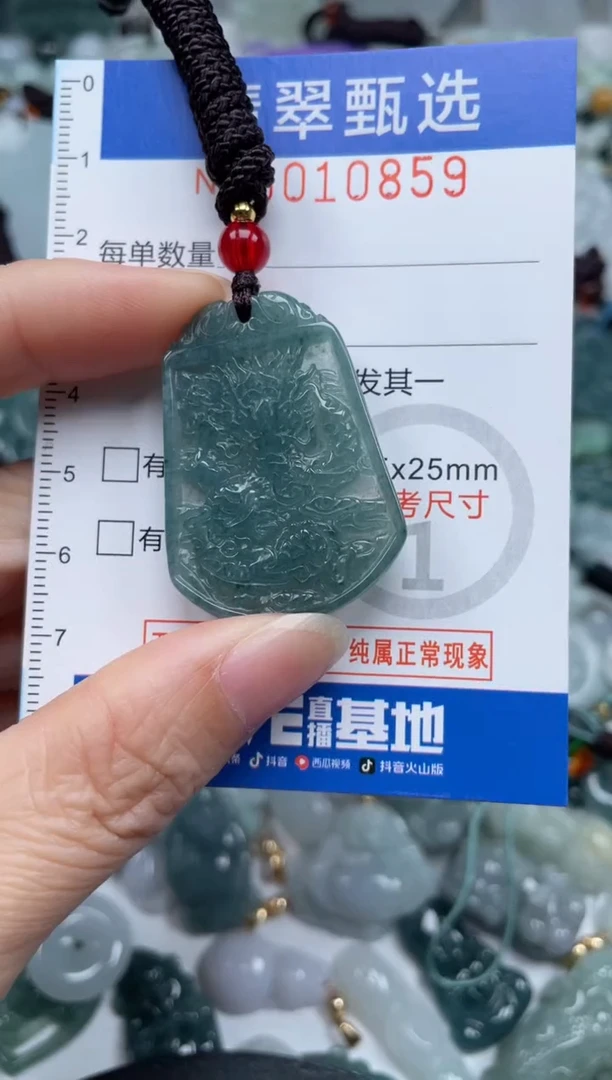 颈饰未镶嵌翡翠10859