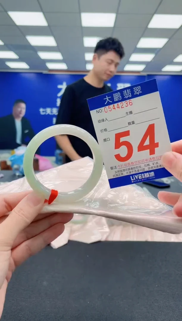 未镶嵌手镯翡翠AAAAAAAAA