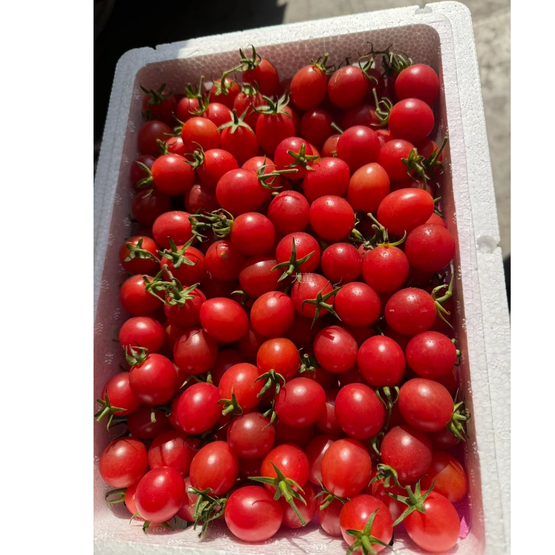 顺丰【大-董】广东电白千禧 毛重2.5斤左右/箱