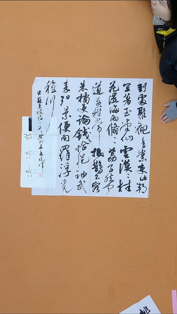 书法李晓辉 河南平顶山 68*68