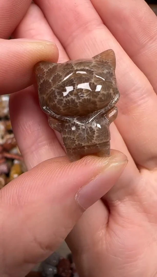 硅化珊瑚（珊瑚玉）未镶嵌颈饰093