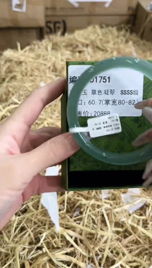 未镶嵌手镯石英质玉D1751