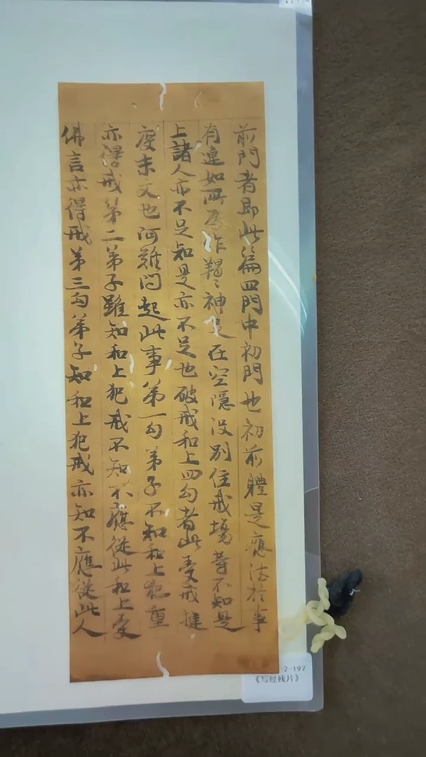 竖款【辽拍】佚名-残片（0.2平尺）V250709-2-197