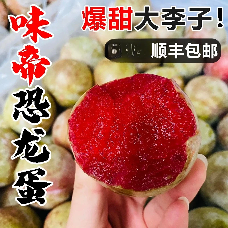 【大乐专属】新疆恐龙蛋喀什超甜新鲜水果当季杏李酸甜孕妇水果味帝