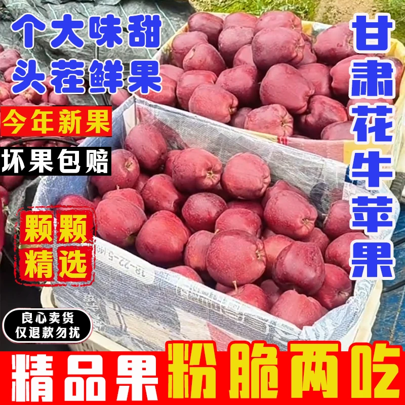 甘肃天水花牛苹果新鲜当季果肉细腻脆粉两吃