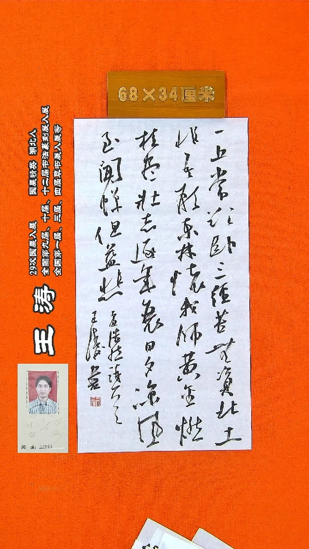 书法118a王涛书法作品