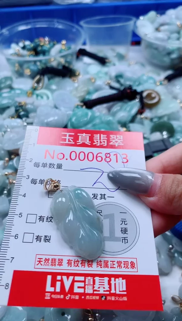 吊坠(不含链)未镶嵌翡翠6813