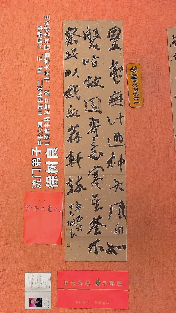 【闪购商品】书法64    徐树良书法作品