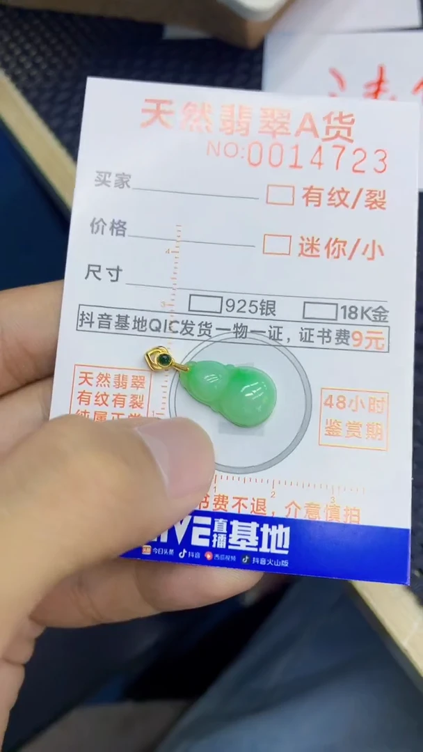 翡翠未镶嵌吊坠(不含链)1