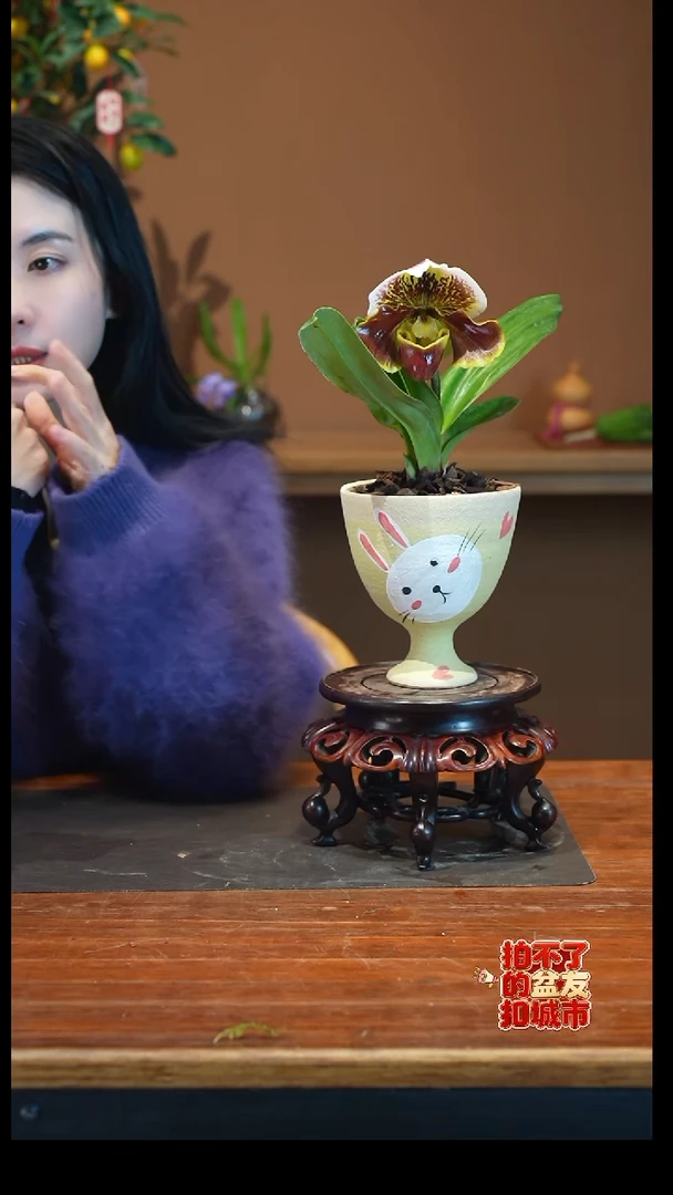 全部花朵红肉饼小白兔