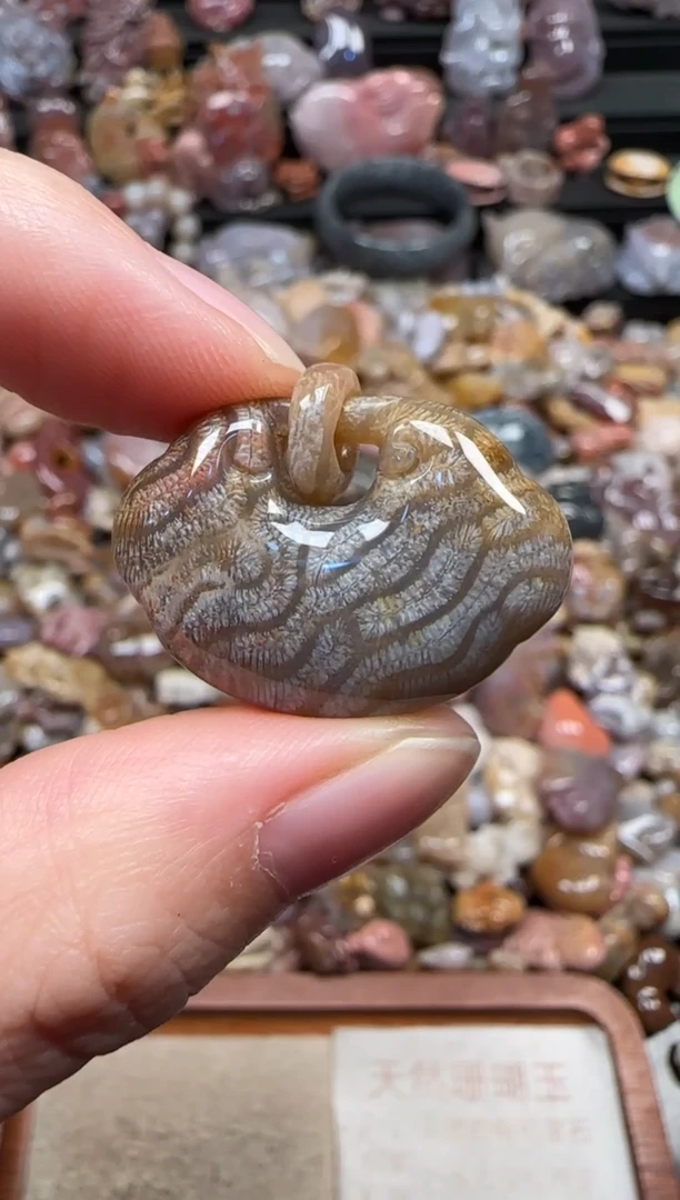 颈饰未镶嵌硅化珊瑚（珊瑚玉）796