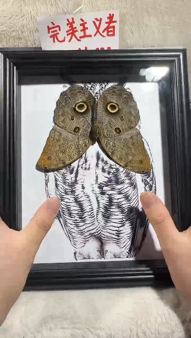 木猫头鹰