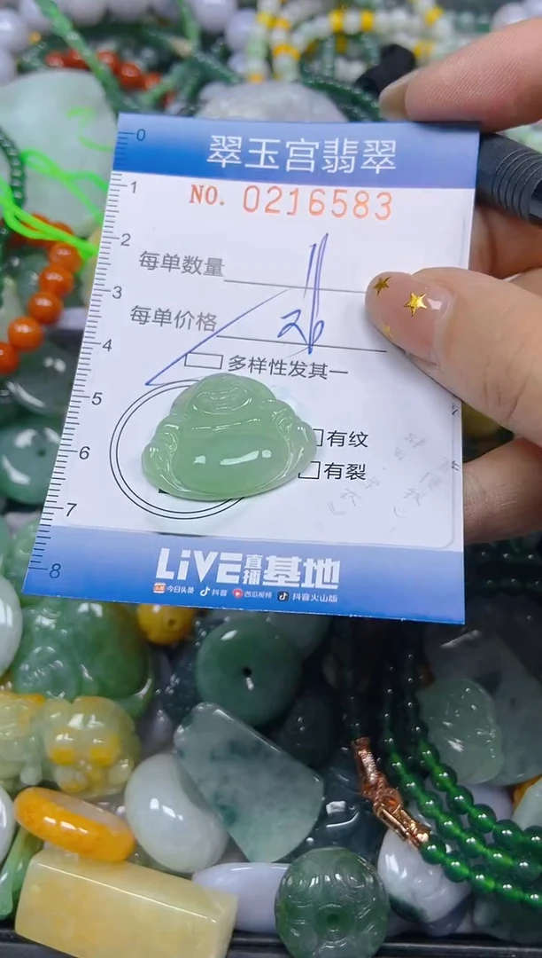 颈饰未镶嵌翡翠闪购C0216583多样性发其一