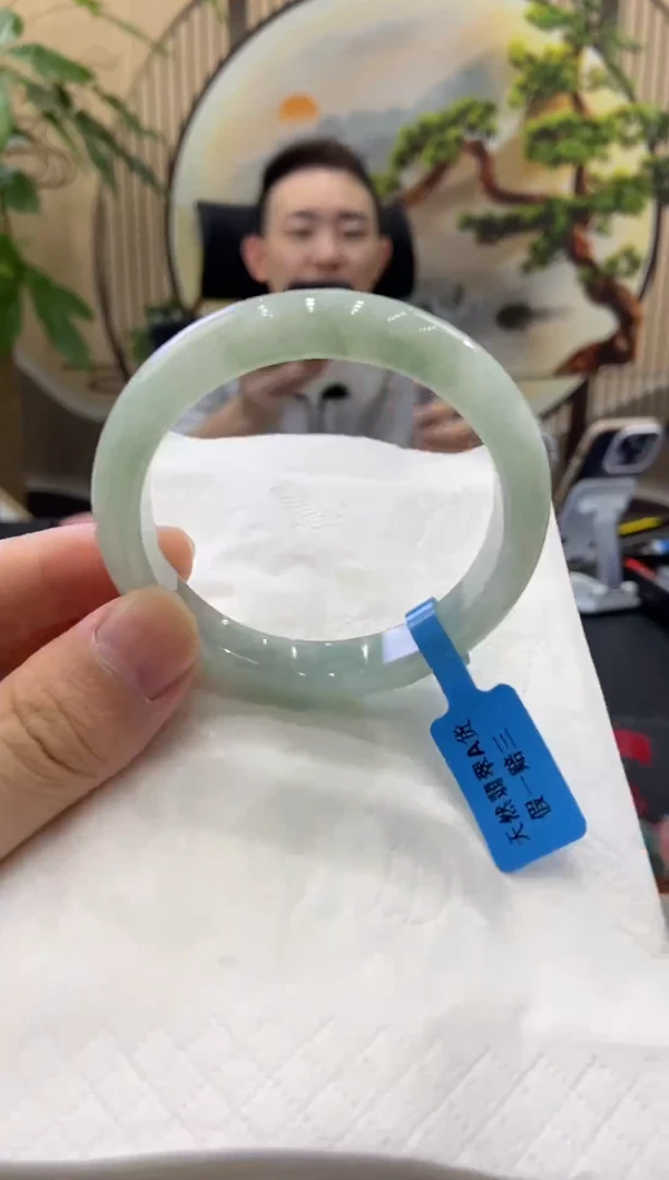 未镶嵌手镯翡翠9504