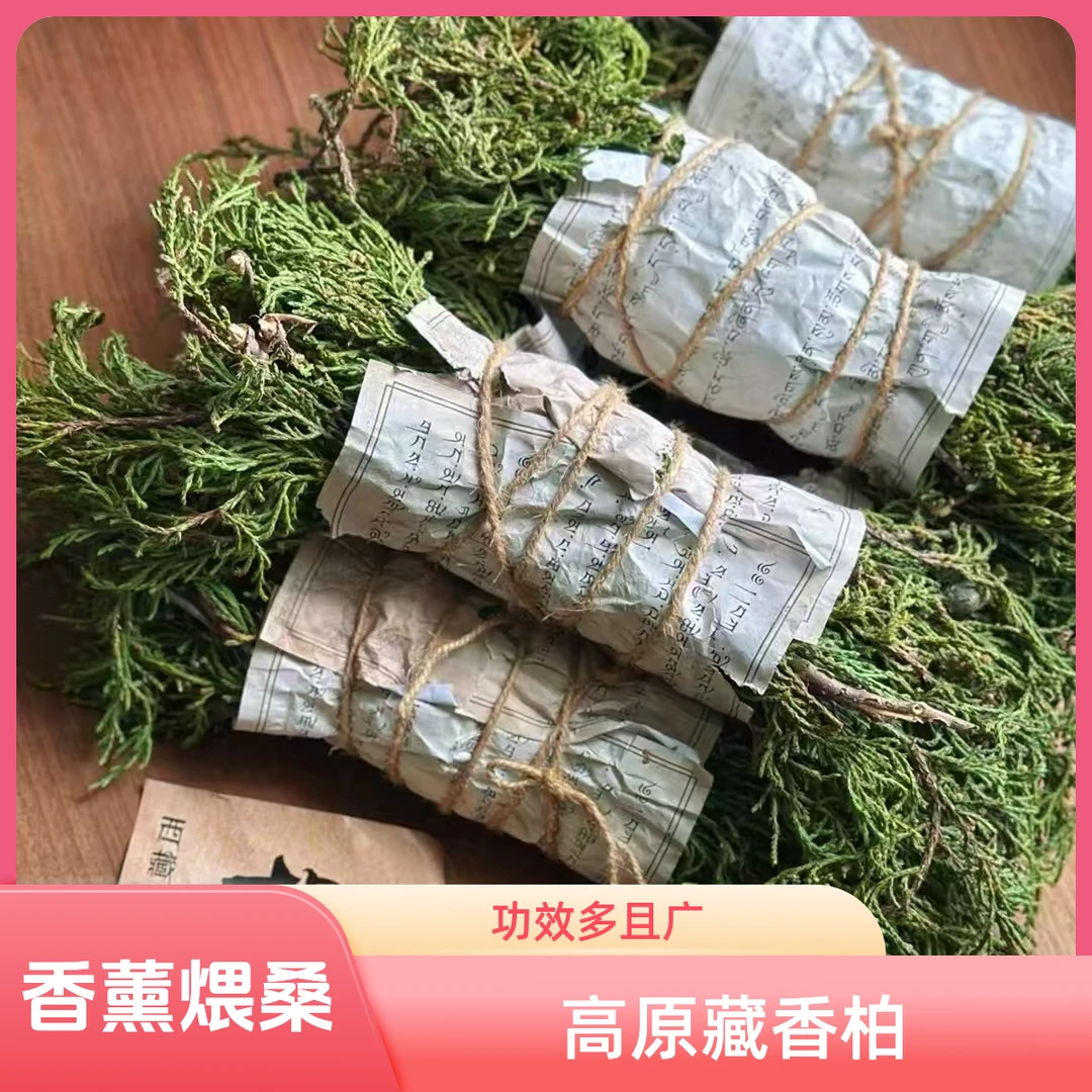 高原藏香柏香薰煨桑新鲜藏香木香功效包邮藏香柏藏香柏