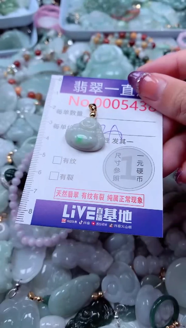 翡翠未镶嵌吊坠(不含链)5438