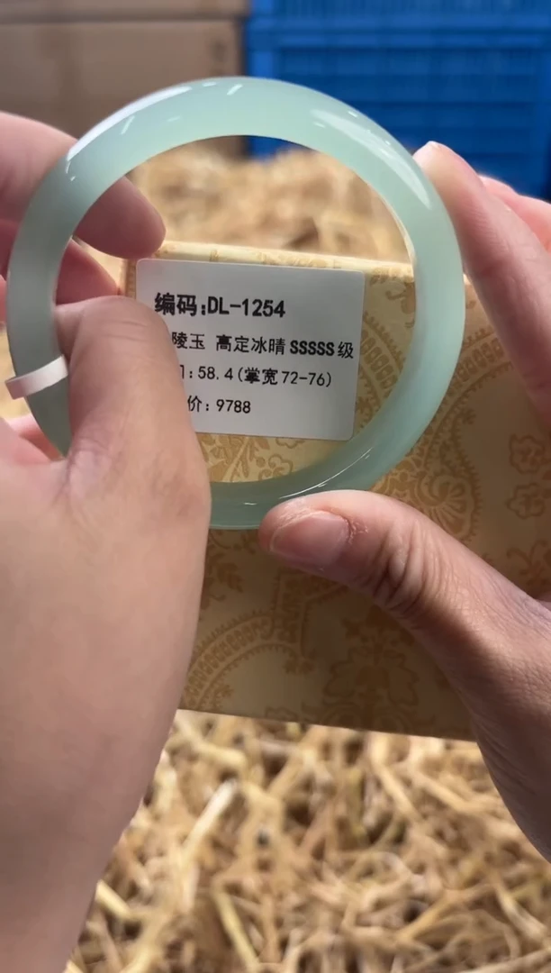 未镶嵌手镯石英质玉DL-1254