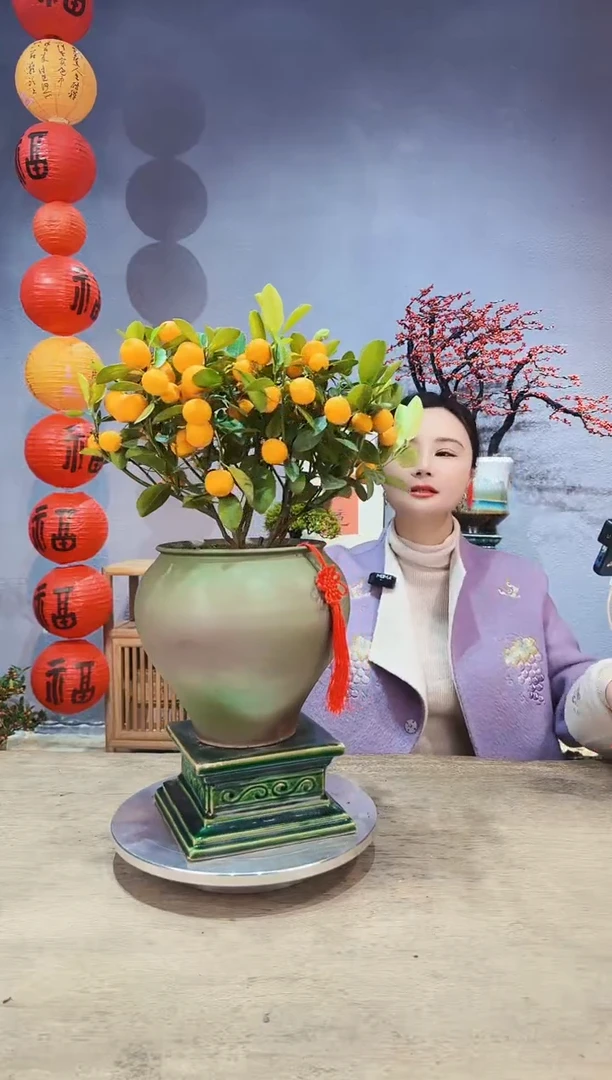 【闪购商品】盆景年桔