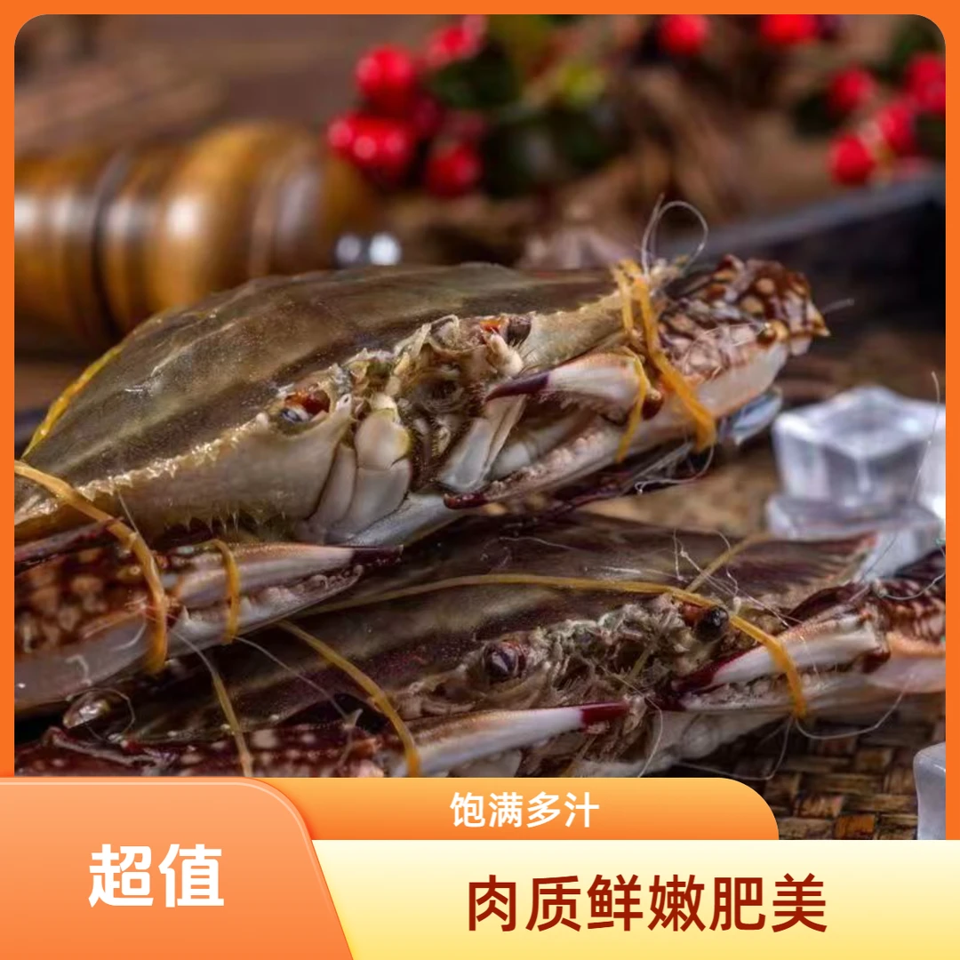 东港一点红母飞蟹【保鲜不保活】2-3-5两每只2斤起拍有断腿介意勿拍