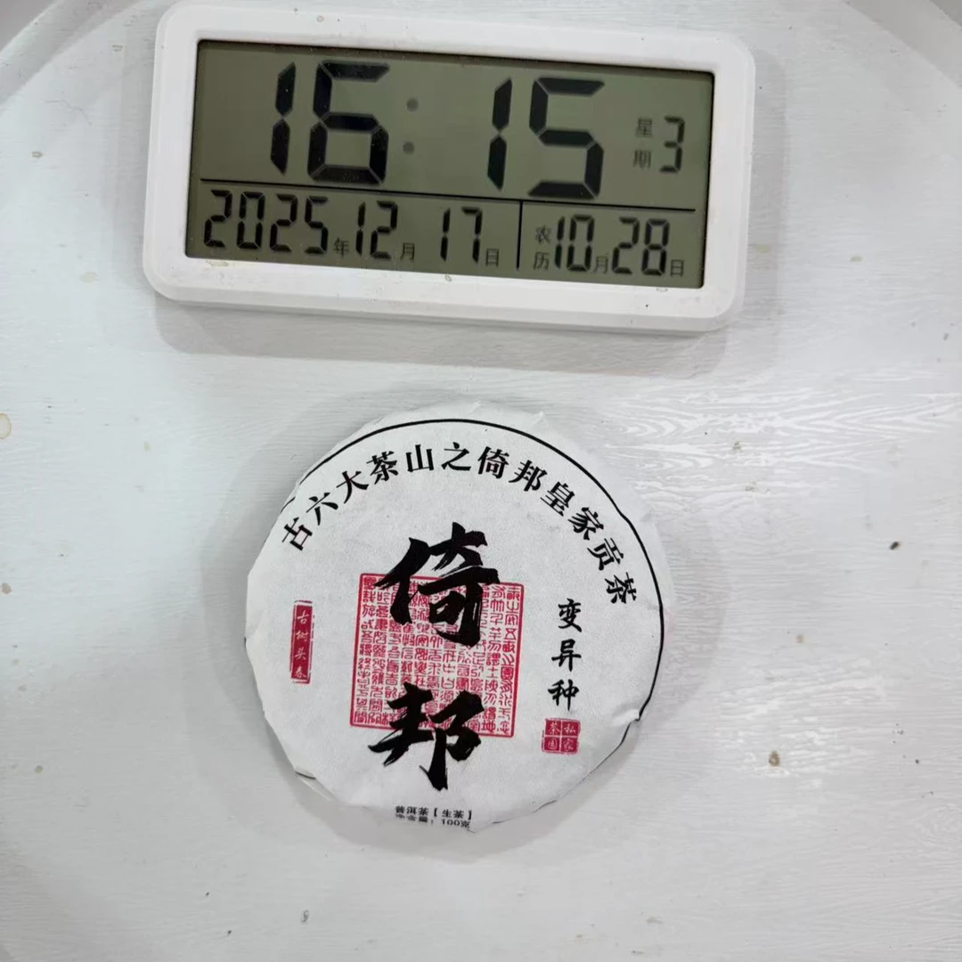 司丽严选-2570号2024年倚邦小叶变异种普洱茶生茶饼100g12-17