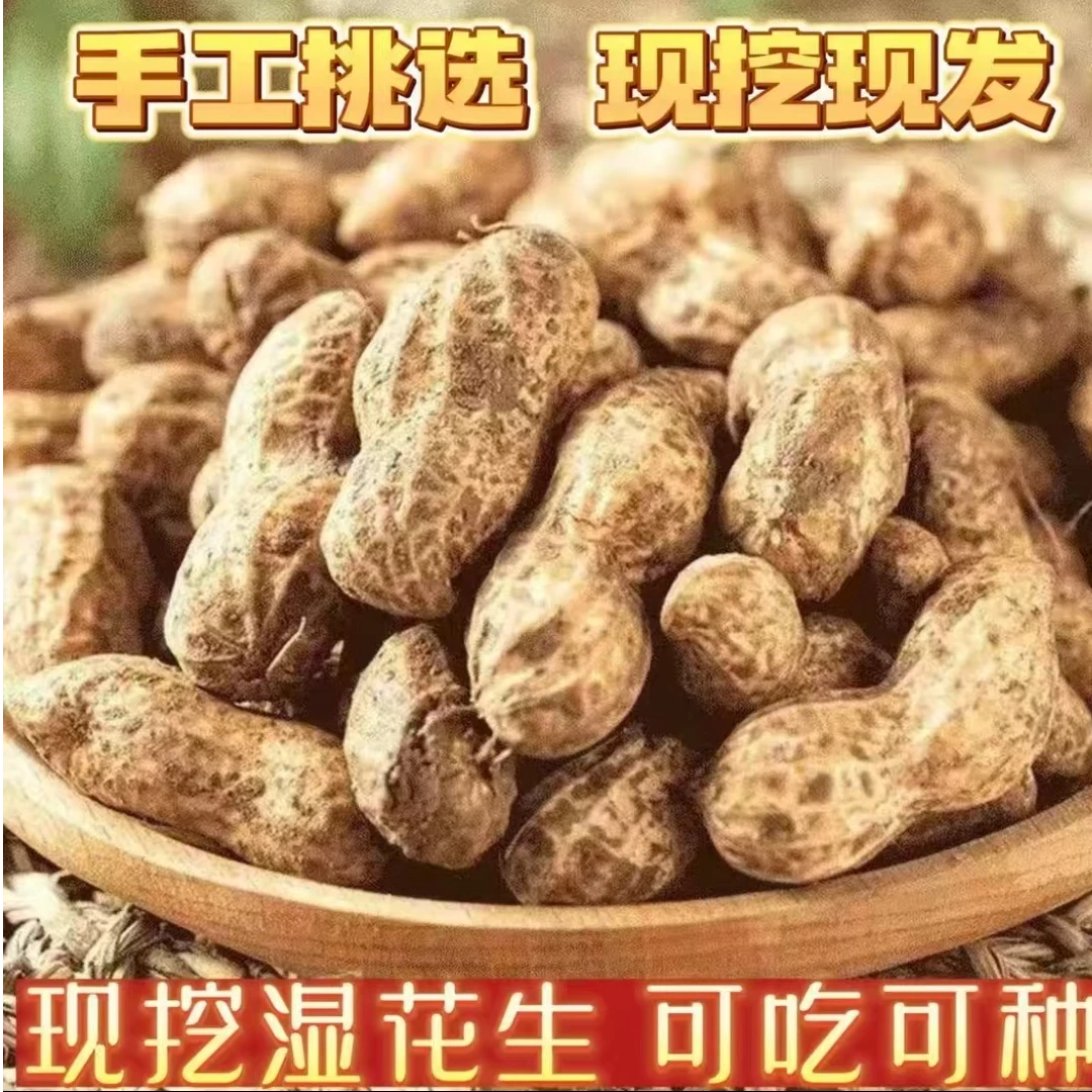 农家自种新鲜现挖带壳带泥湿花生可水煮生吃