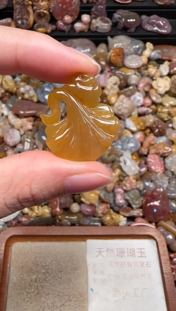 颈饰未镶嵌硅化珊瑚（珊瑚玉）851