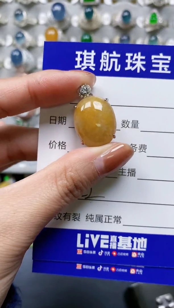 【闪购商品】翡翠颈饰银S925镶嵌0732