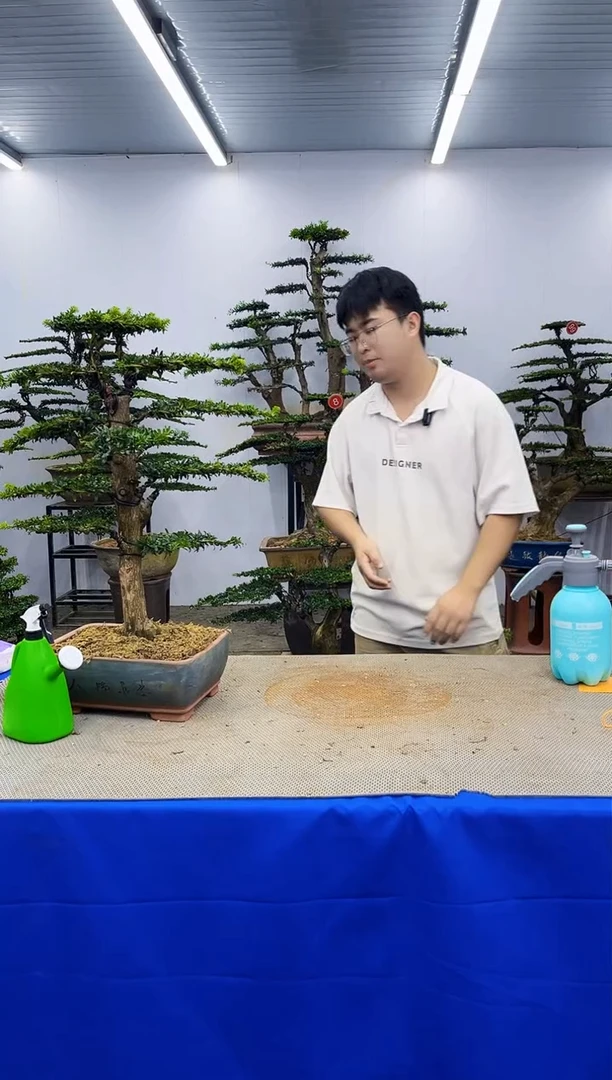 无花朵小*啊一物一拍，所见即所得