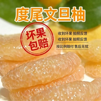 度尾文旦柚没有虾线清甜多汁新鲜当季坏果包赔
