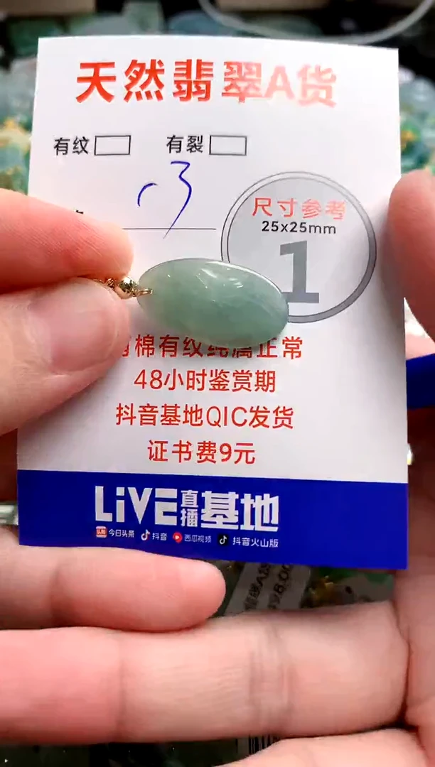 翡翠未镶嵌颈饰23002127