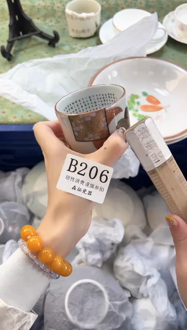 【闪购商品】瓷片          B206