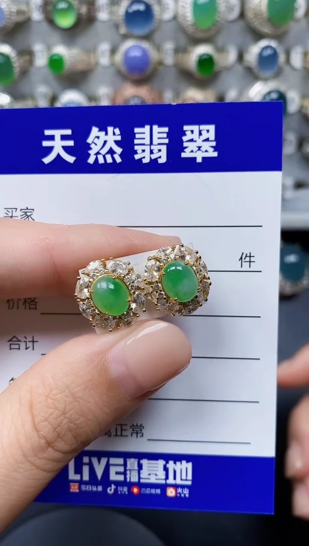 翡翠银S925镶嵌耳饰310