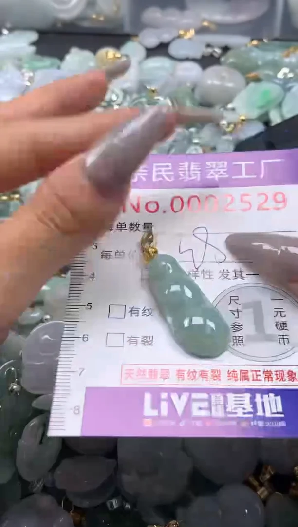 颈饰未镶嵌翡翠2529